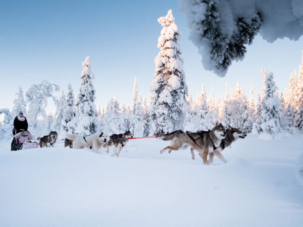 Winteractiviteiten Fins Lapland