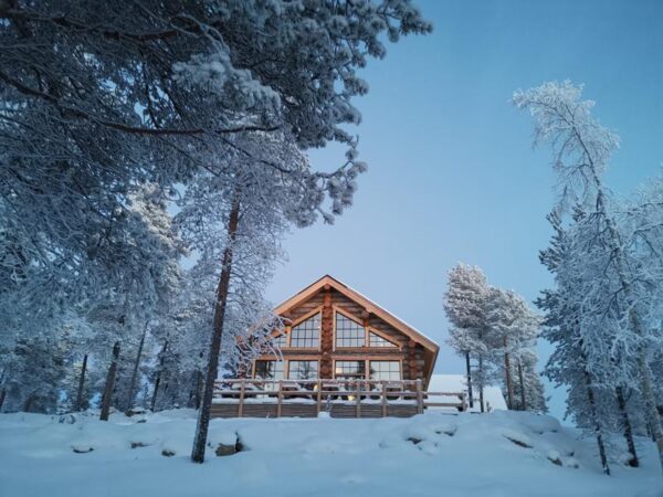 Wildernessroom – Wilderness Resort Nangu 5-dagen (winter)
